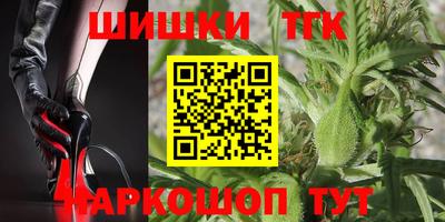 крисы Обь
