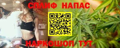 крисы Обь